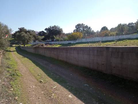 Terreno Para Construção  Venda em Benquerenças,Castelo Branco