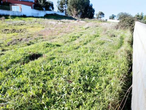 Terreno Para Construção  Venda em Benquerenças,Castelo Branco
