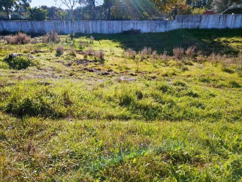 Terreno Para Construção  Venda em Benquerenças,Castelo Branco