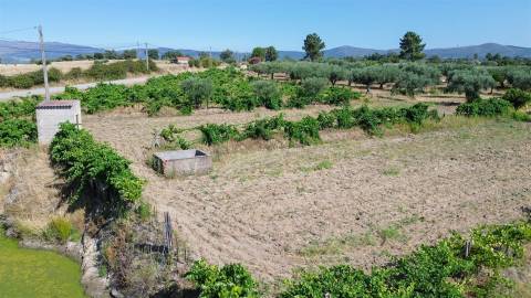 Quinta com 1,77Ha na Orca - Fundão