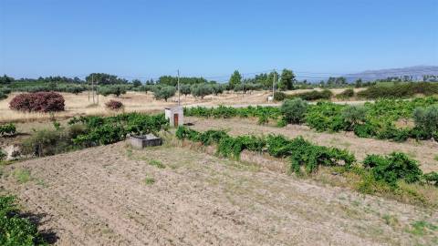Quinta com 1,77Ha na Orca - Fundão