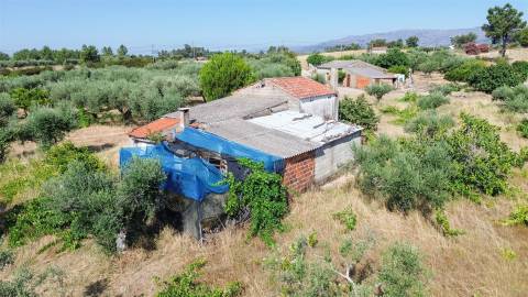Quinta com 1,77Ha na Orca - Fundão