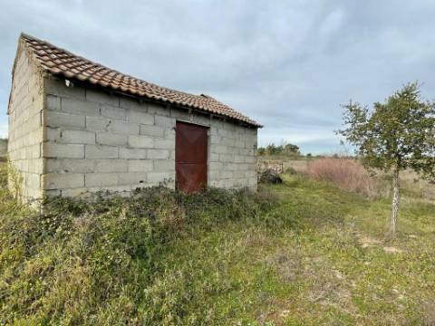 Quinta com cerca de 1,4 Ha
