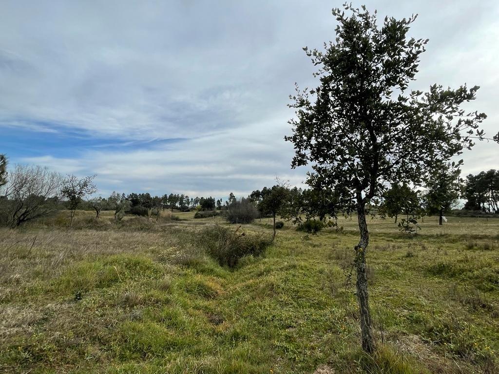 Quinta com cerca de 1,4 Ha