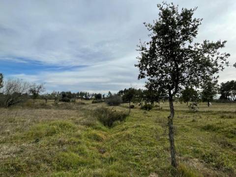 Quinta com cerca de 1,4 Ha
