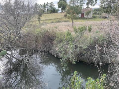 Quinta com cerca de 1,4 Ha