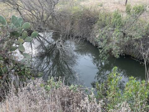 Quinta com cerca de 1,4 Ha