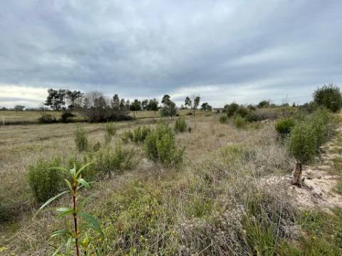 Quinta com cerca de 1,4 Ha