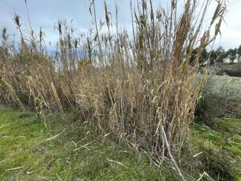 Quinta com cerca de 1,4 Ha