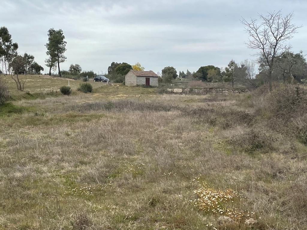 Quinta com cerca de 1,4 Ha