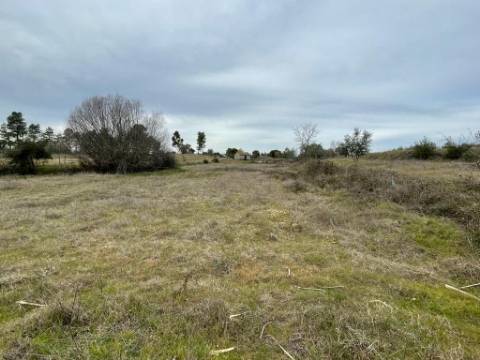 Quinta com cerca de 1,4 Ha