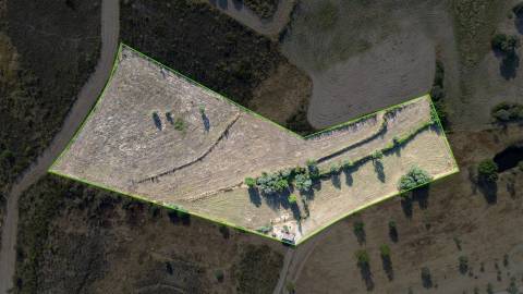Quinta com cerca de 1,4 Ha