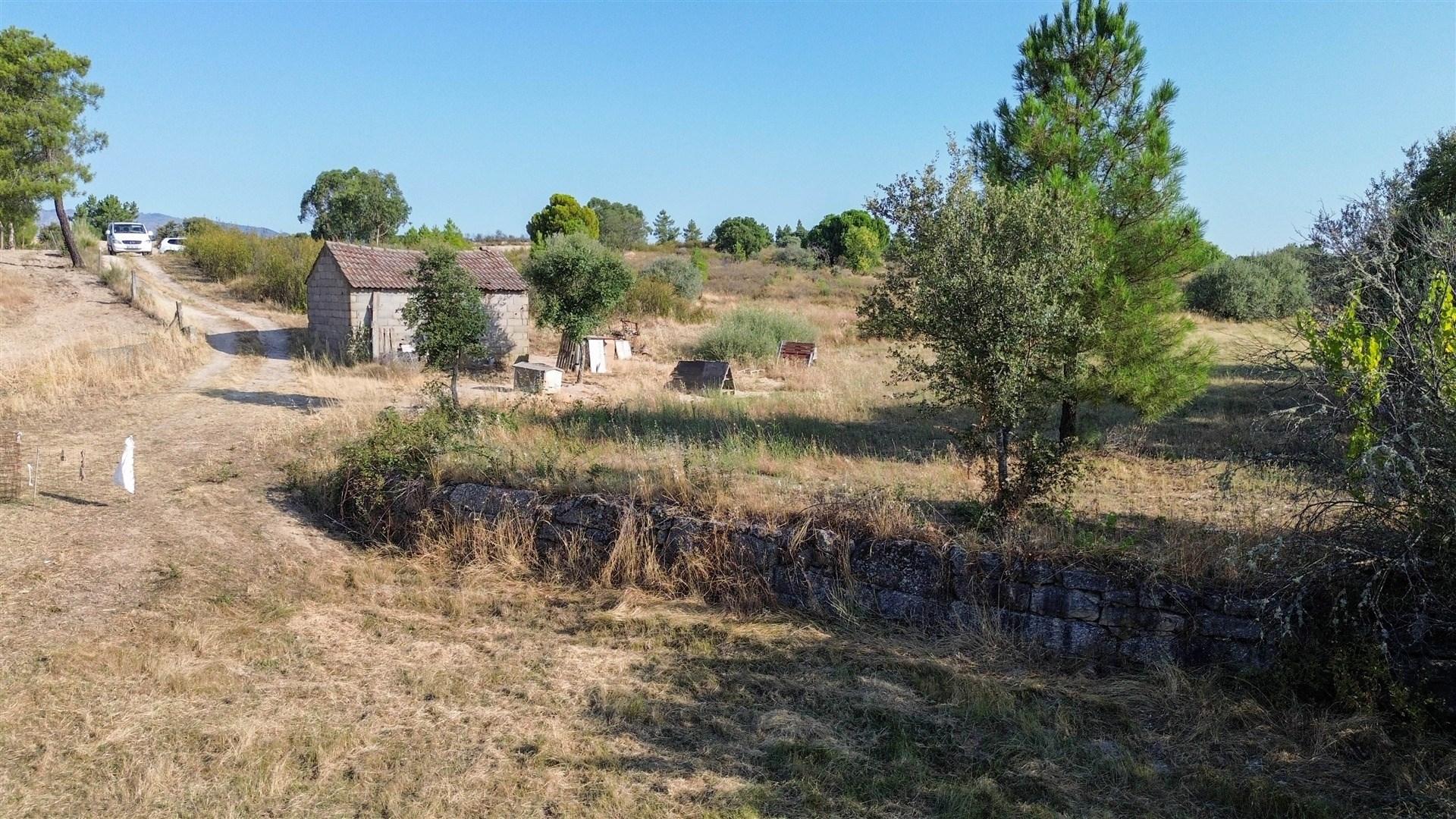 Quinta com cerca de 1,4 Ha