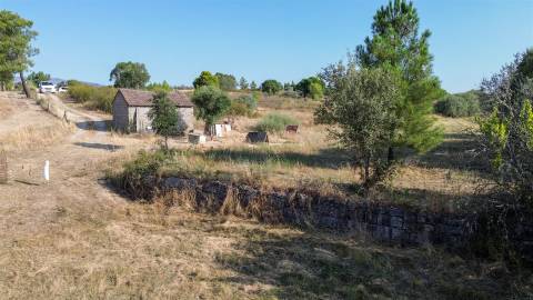 Quinta com cerca de 1,4 Ha