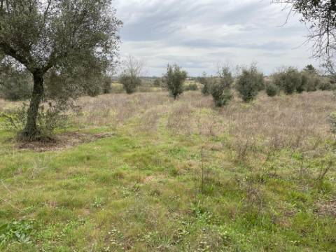 Terreno Rústico com cerca de 1,5Ha na freguesia da Orca