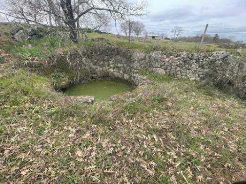 Terreno Rústico com cerca de 1,5Ha na freguesia da Orca