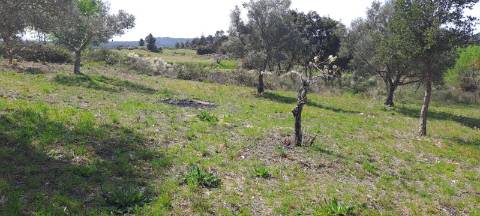 Quinta em Aranhas