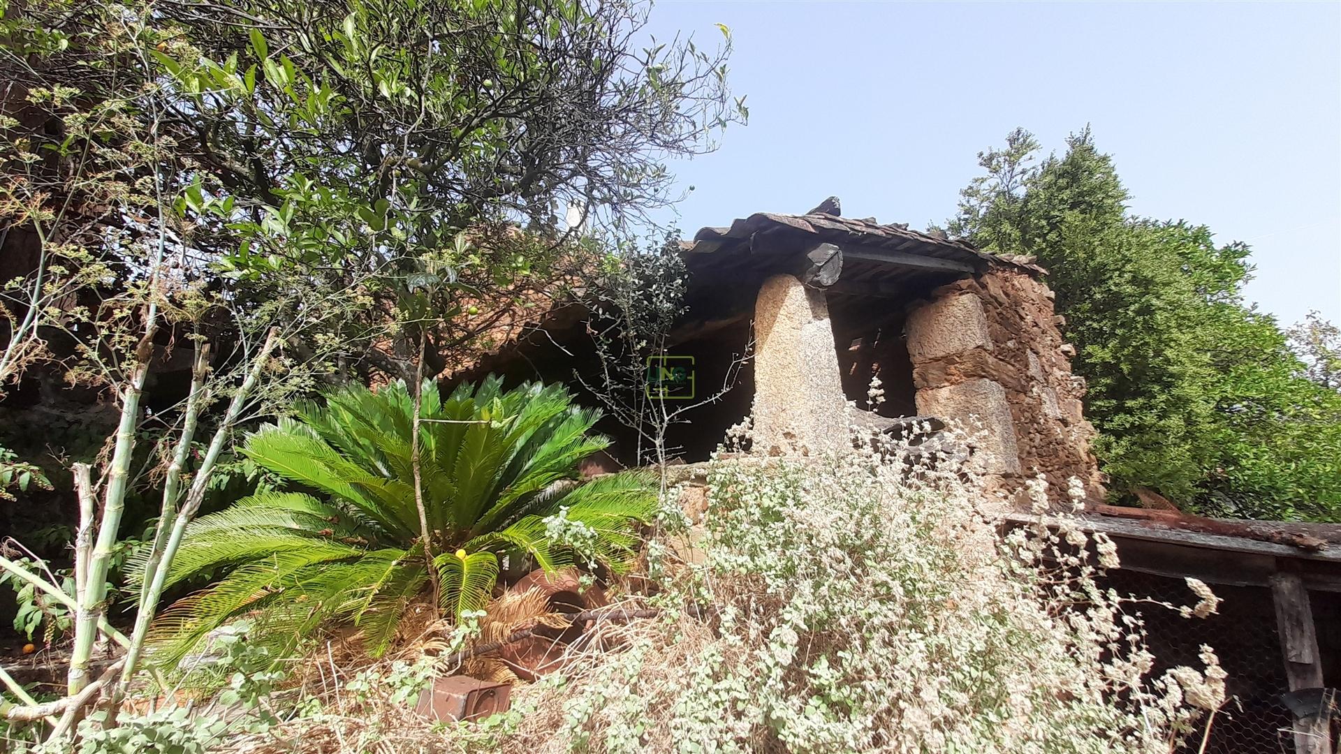 Moradia Isolada com cerca de 3.500m2 de quintal - Sobral do Campo