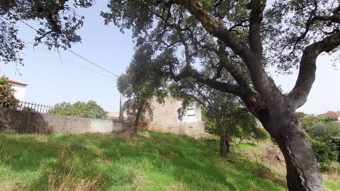 Moradia Isolada com cerca de 3.500m2 de quintal - Sobral do Campo