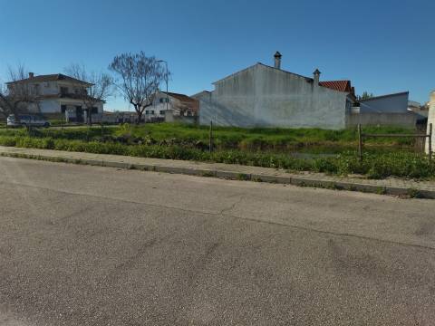 lote de terreno  Lardosa, Castelo Branco.