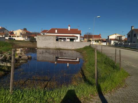 Lote de terreno Lardosa, Castelo Branco.