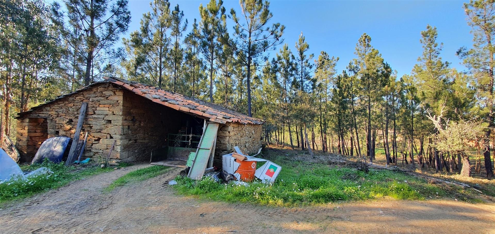Quinta com 2.25Ha e casa para recuperar na freguesia das Sarzedas