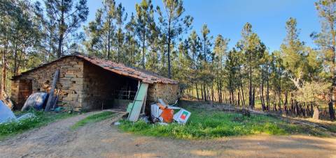 Quinta com 2.25Ha e casa para recuperar na freguesia das Sarzedas