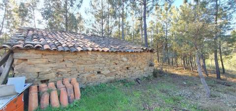 Quinta com 2.25Ha e casa para recuperar na freguesia das Sarzedas