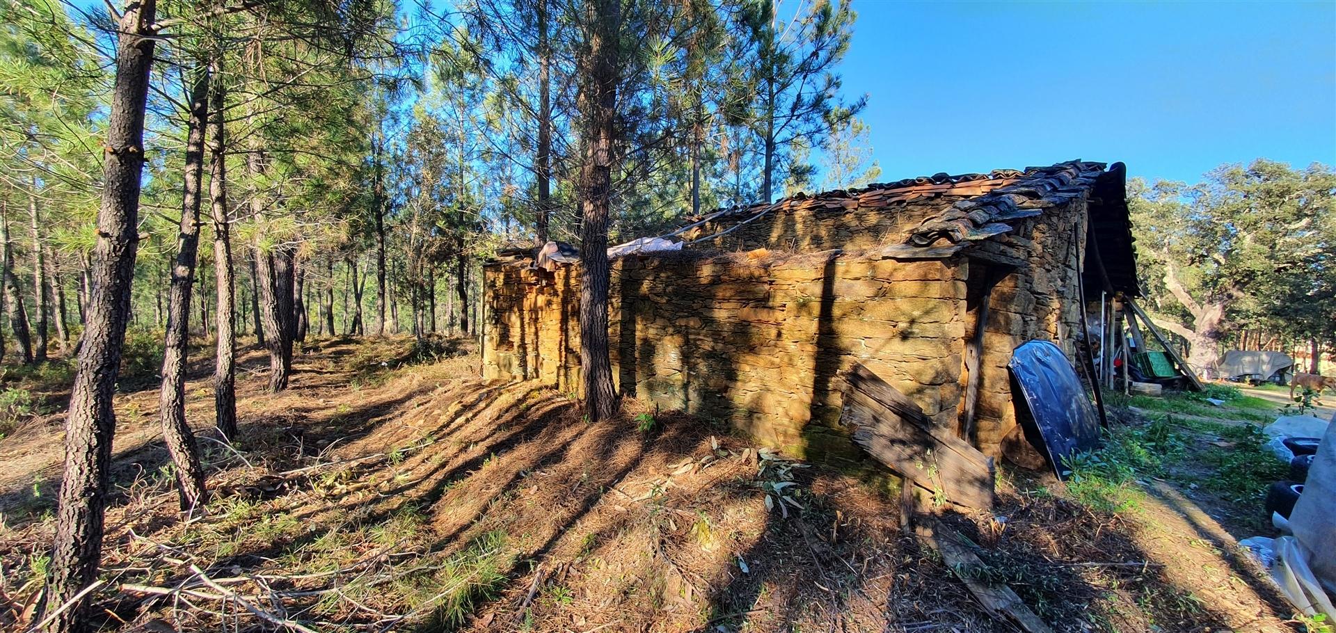 Quinta com 2.25Ha e casa para recuperar na freguesia das Sarzedas