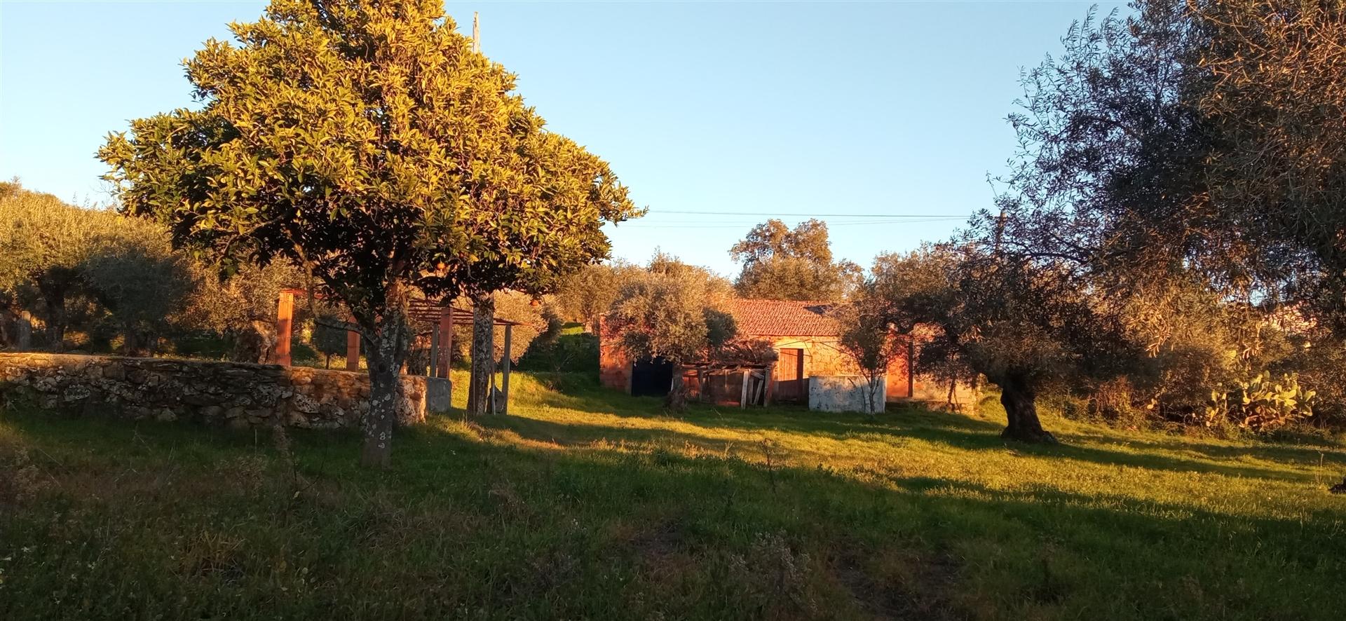 Quintinha em Aranhas