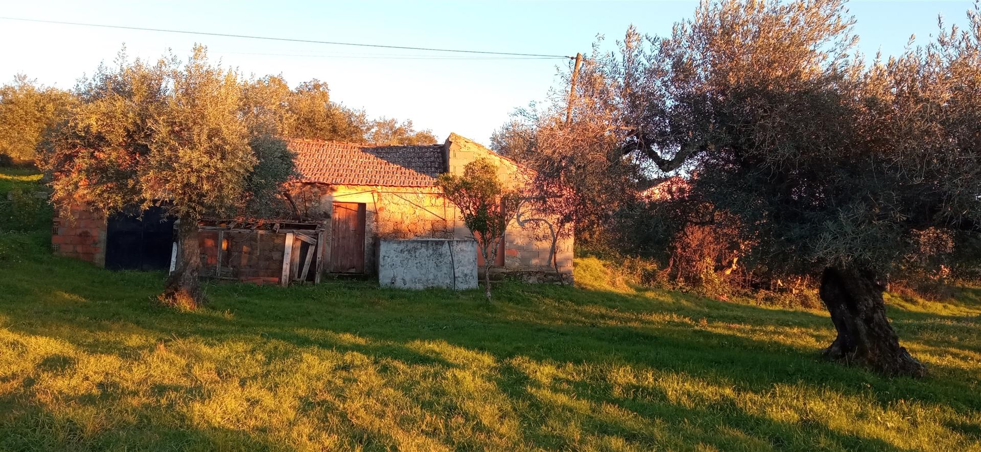 Quintinha em Aranhas