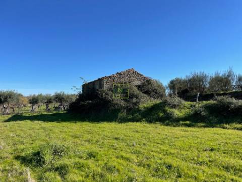 Quinta em Atalaia do Campo - Fundão