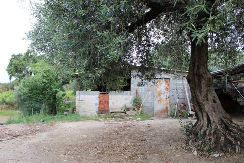 Quinta com 13.243 m2 na freguesia de Vale de Prazeres e Mata da Rainha, Fundão.