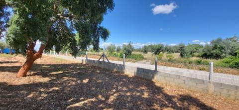 Terreno Rústico - 1.34 ha - Viabilidade de Construção - Freixial e Juncal do Campo