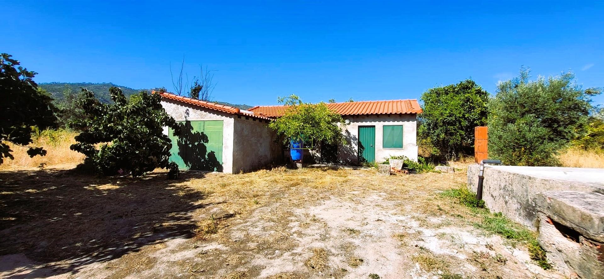 Quinta - 6140m2 - Louriçal do Campo