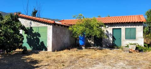 Quinta - 6140m2 - Louriçal do Campo