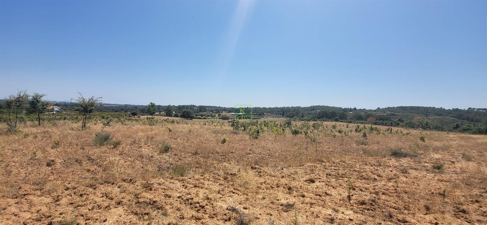 Terreno Rústico com cerca de 2.8ha - Tinalhas