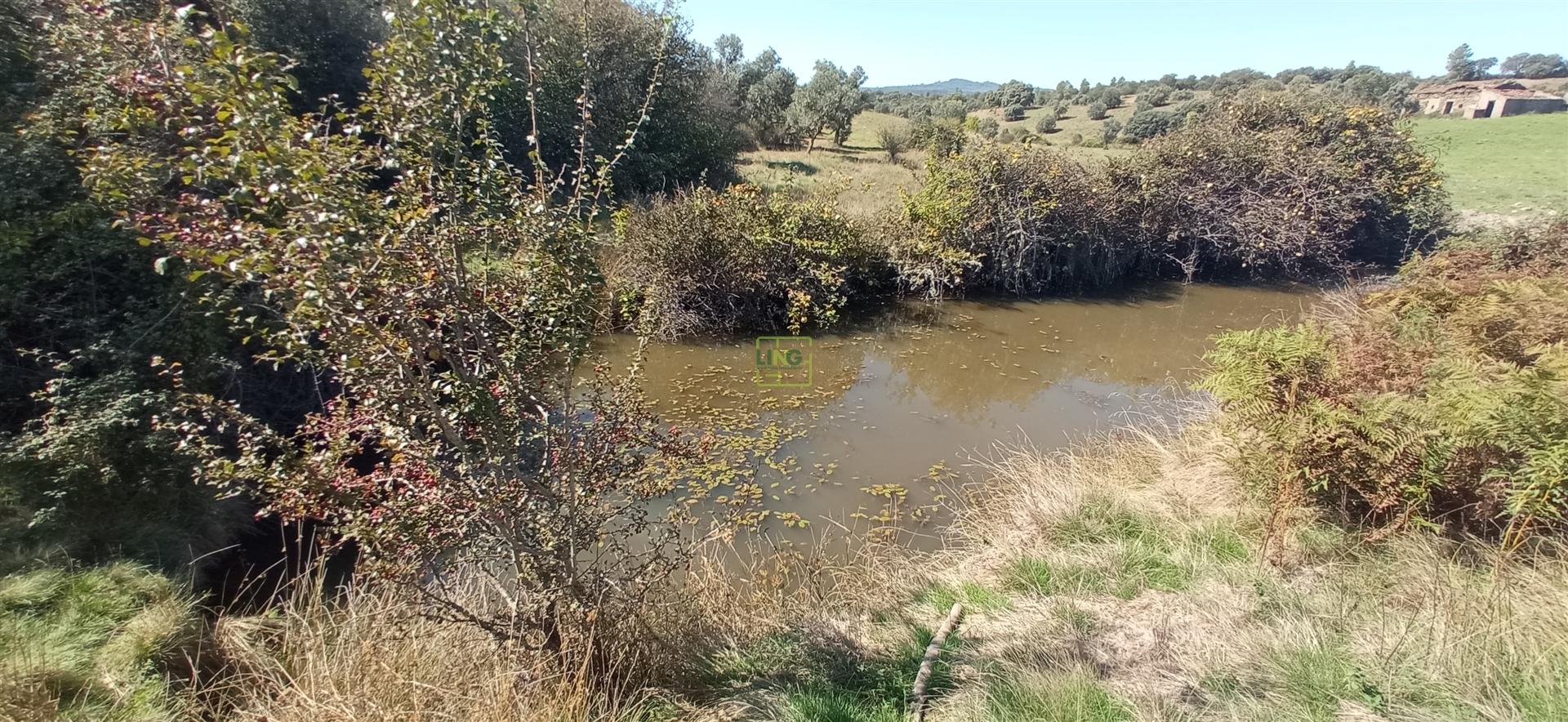 Herdade Rustica em Penamacor