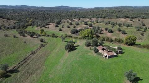 Herdade Rustica em Penamacor