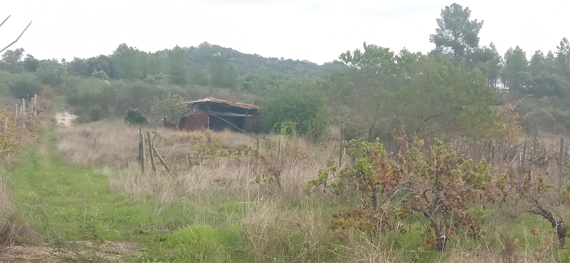 Terreno rústico em Aldeia de João Pires, Penamacor.