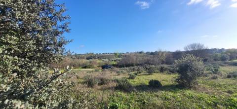 Terreno Rústico - 4250m2 -Toulões - Idanha-a-Nova