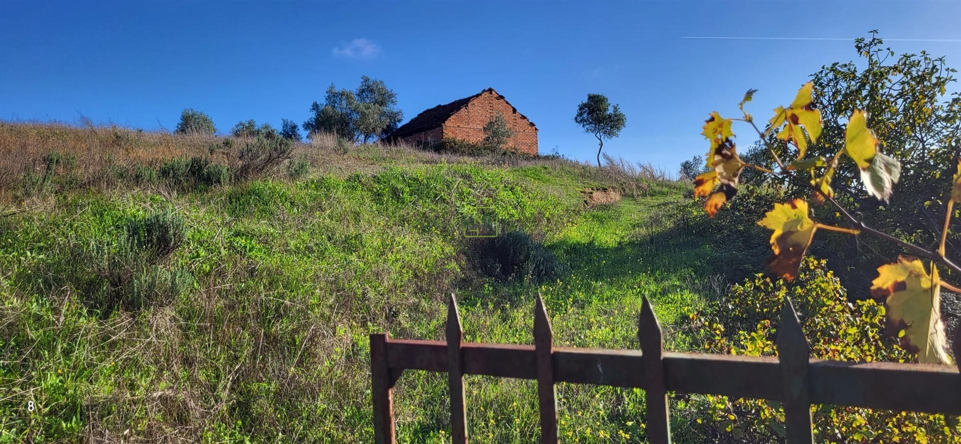 Quinta para venda, na freguesia de Toulões, Idanha-a-Nova