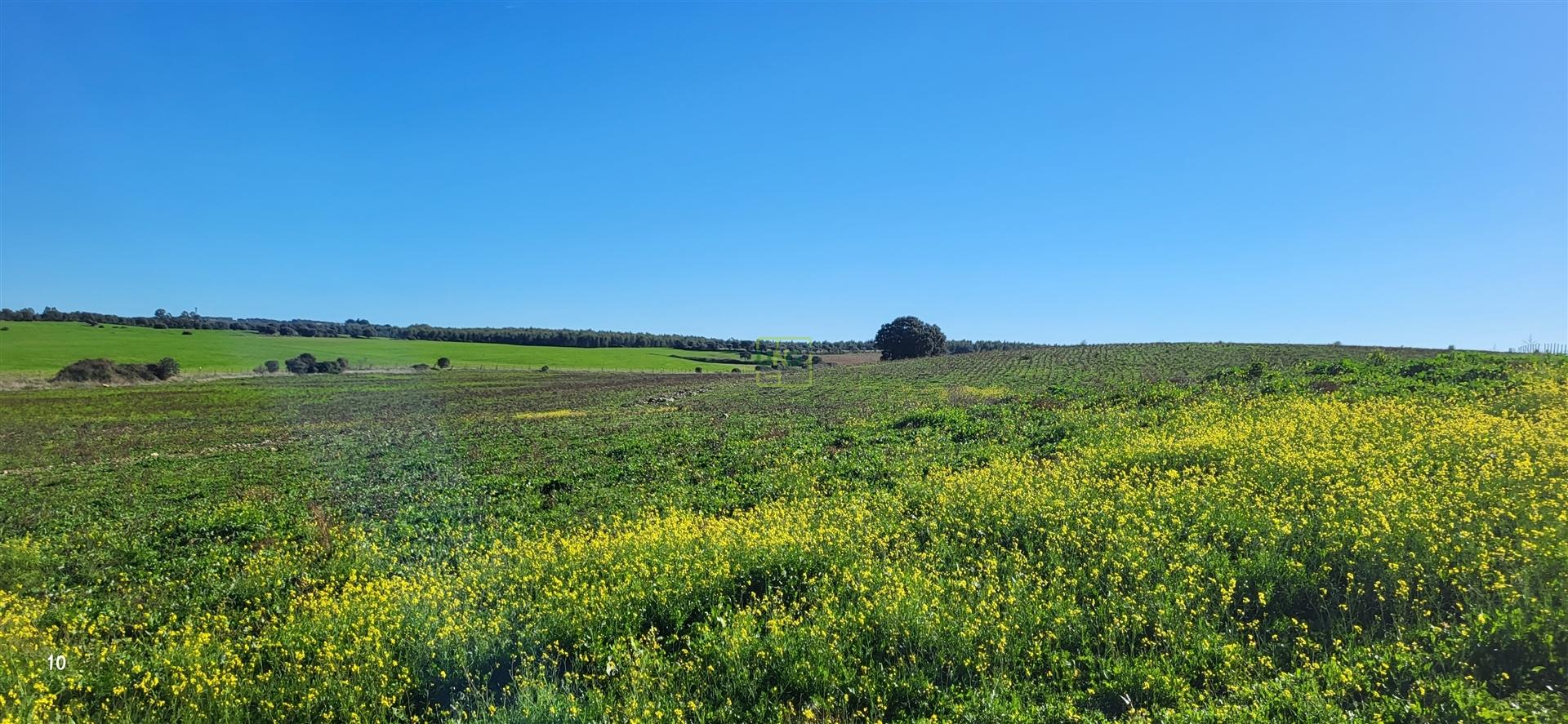 Herdade T0 Venda em Idanha-a-Nova e Alcafozes,Idanha-a-Nova