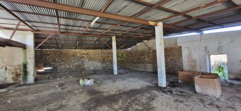 Herdade 125 ha - Idanha-a-Nova