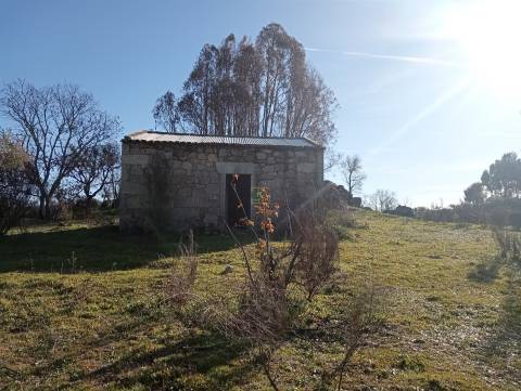 Excelente terreno com 76840m2 situado em Aldeia das Águas, Penamacor.