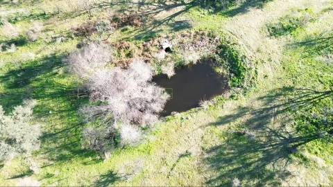 Excelente terreno com 76840m2 situado em Aldeia das Águas, Penamacor.