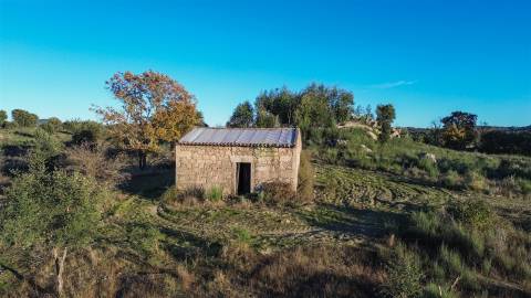 Excelente terreno com 76840m2 situado em Aldeia das Águas, Penamacor.