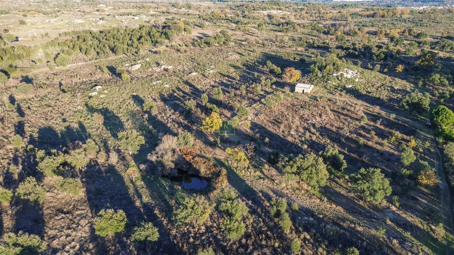 Excelente terreno com 76840m2 situado em Aldeia das Águas, Penamacor.