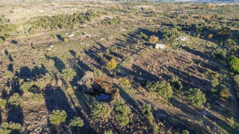Excelente terreno com 76840m2 situado em Aldeia das Águas, Penamacor.