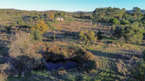 Excelente terreno com 76840m2 situado em Aldeia das Águas, Penamacor.